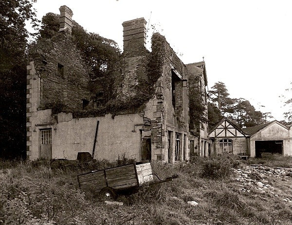 GWDIG / GOODIG, Burry Port, Carmarthenshire