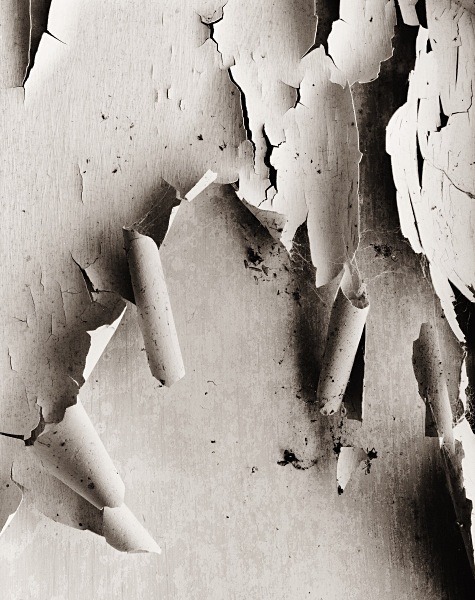 ABSTRACTION, Henllan, Ceredigion 2015 - ABSTRACTIONS