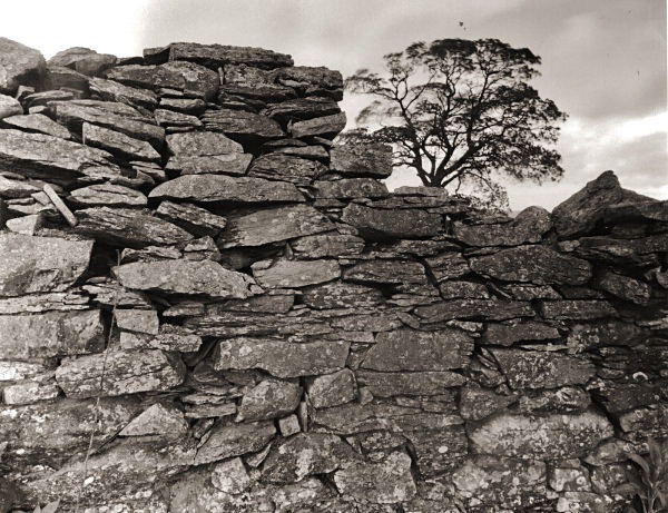 TY-UNNOS , Rhos-gelli-gron common, Pontrhydyfendigaid, Ceredigion 2015 - CEREDIGION FARMS & COTTAGES