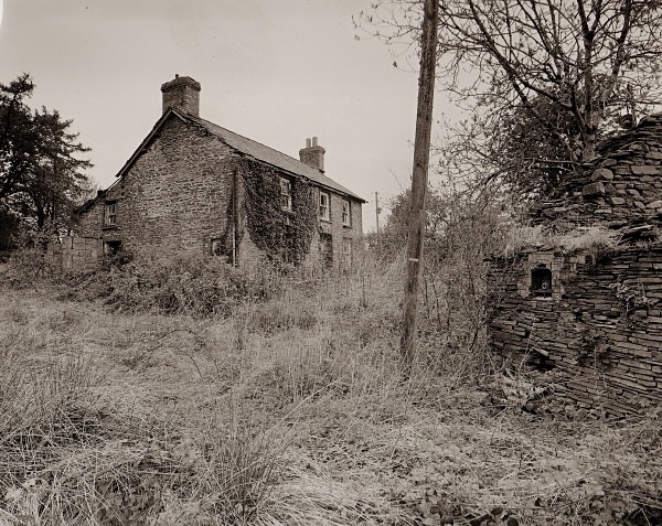 PEN-BRYN-RHYG, Stags Head, Ceredigion 2013 - CEREDIGION FARMS & COTTAGES