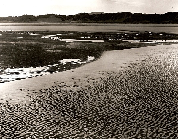 YNYS LAS, Ceredigion 2002 - THE WELSH LANDSCAPE - MOSTLY IN CEREDIGION