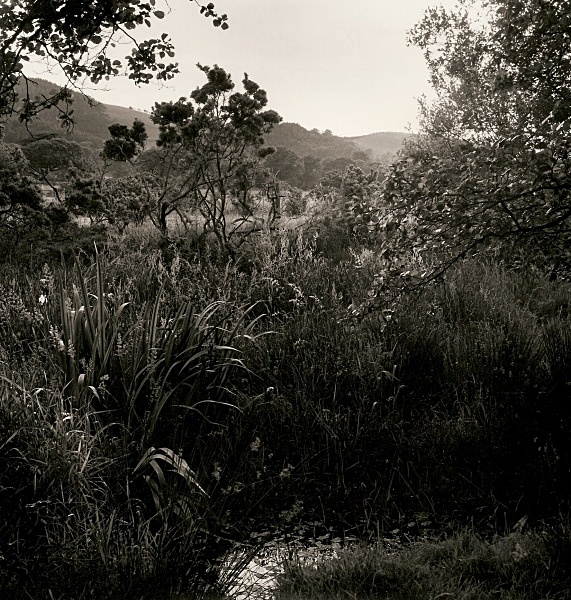 GRAVEL PITS, Ox-Bow Lakes and the River Rheidol, Ceredigion 2003 - THE WELSH LANDSCAPE - MOSTLY IN CEREDIGION