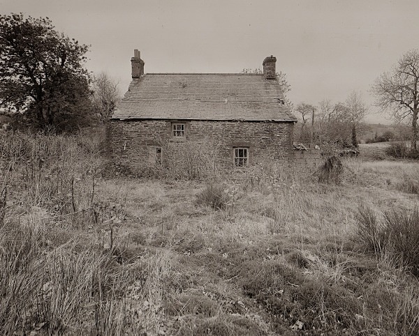 PEN-BRYN-RHYG, Stags Head, Ceredigion 2013 - CEREDIGION FARMS & COTTAGES