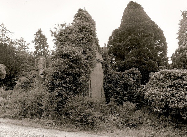 PLAS CRWN, Llandewi Velvrey, Pembrokeshire 2010 - PEMBROKESHIRE