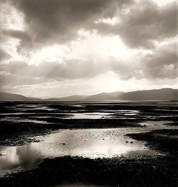 YNYS LAS, Ceredigion 2002 - THE WELSH LANDSCAPE - MOSTLY IN CEREDIGION