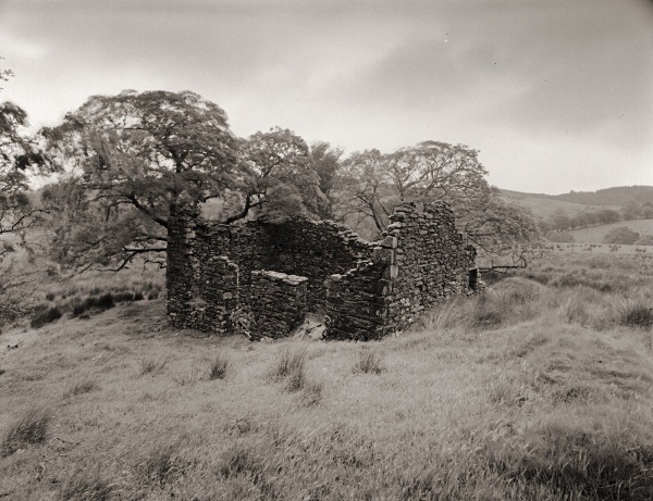 CARADOG, Rhos-gelli-gron common, Pontrhydyfendigaid, Ceredigion 2015 - CEREDIGION FARMS & COTTAGES