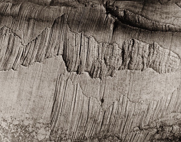 ABSTRACTION AT CWM PERIS WOOD, Llanon, Ceredigion 2015 - THE WELSH LANDSCAPE - MOSTLY IN CEREDIGION
