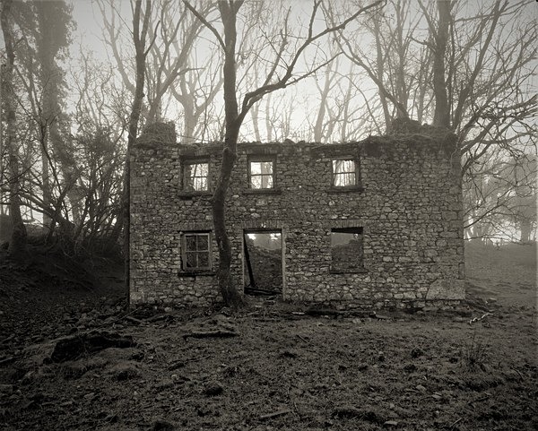 LLWYN CELYN, Abergorlech, Carmarthenshire 2019 - CARMARTHENSHIRE