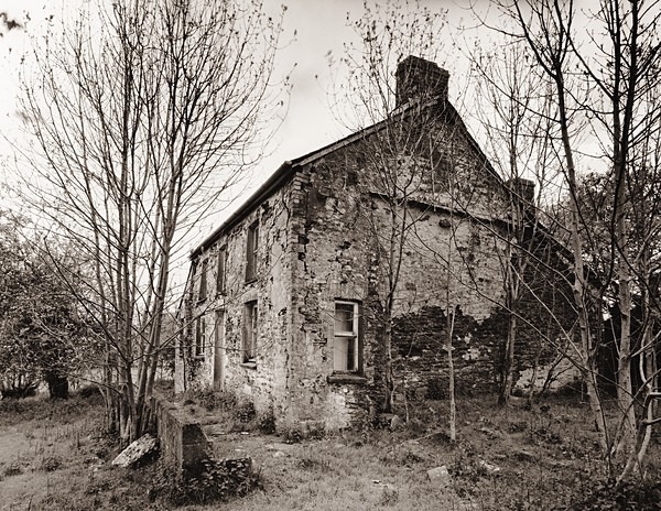 MAESTEG, Cribyn, Ceredigion 2014 - CEREDIGION FARMS & COTTAGES