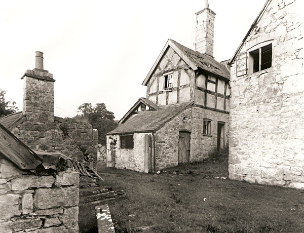 LLWYN YNN, Llanfair-Dyffryn, Denbighshire 2010 - DENBIGHSHIRE