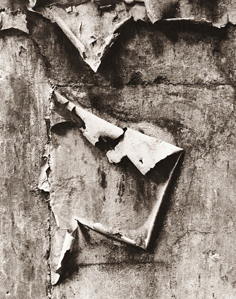ABSTRACTION AT PONT LLANIO MILK FACTORY, Llanio, Ceredigion 2015 - ABSTRACTIONS