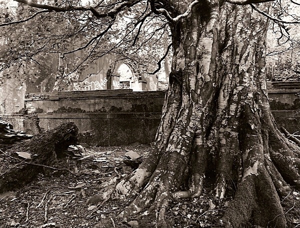 TALYSARN HALL or PLAS DOROTHEA, Nantlle Valley, Caernarvonshire 2009