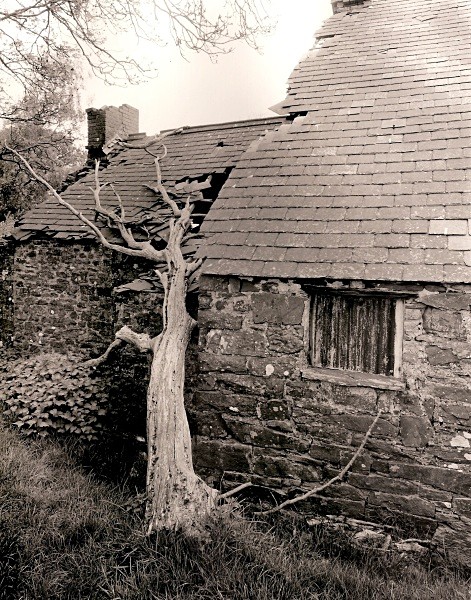 PEN-LAN UCHAF, Ceredigion 2011 - CEREDIGION FARMS & COTTAGES