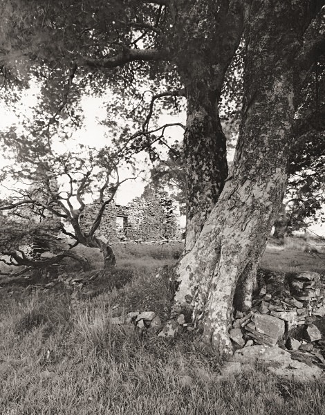 GLAN-LLYN, Trefenter, Ceredigion 2014 - CEREDIGION FARMS & COTTAGES