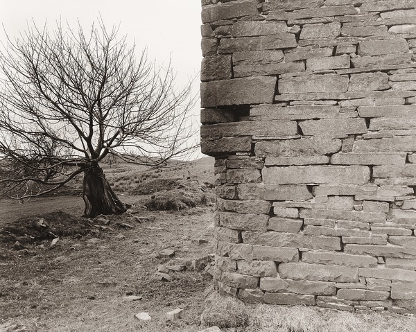 UNKNOWN, Llangwyryfon, Ceredigion 2012 - CEREDIGION FARMS & COTTAGES