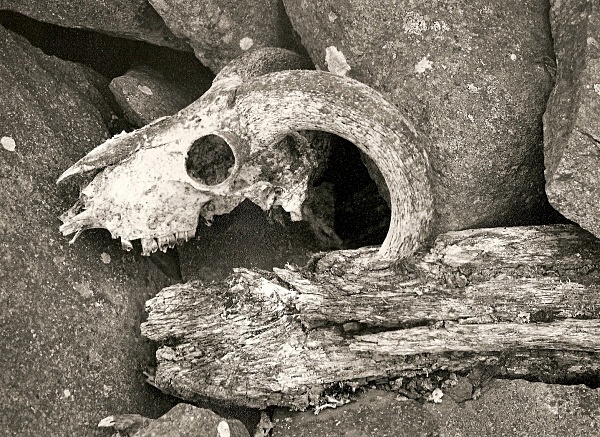 DEATH IN RUINS, Elan Valley, Powys 2004 - RADNORSHIRE