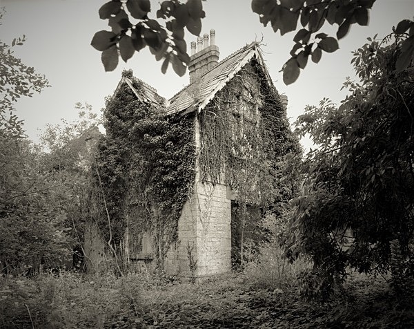 LLANERCH HOUSE, Bridgend 2019 - THE GLAMORGANS (Including Neath Port Talbot, Gower, Vale of Glamorgan)