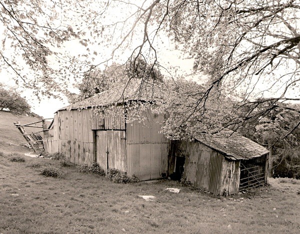 COB/CLOM BUILDING, Llanfihangel-y-Creuddyn, Ceredigion 2011 - CEREDIGION FARMS & COTTAGES