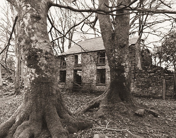 TRAFLE UCHAF, Llangeitho, Ceredigion 2015 - CEREDIGION FARMS & COTTAGES