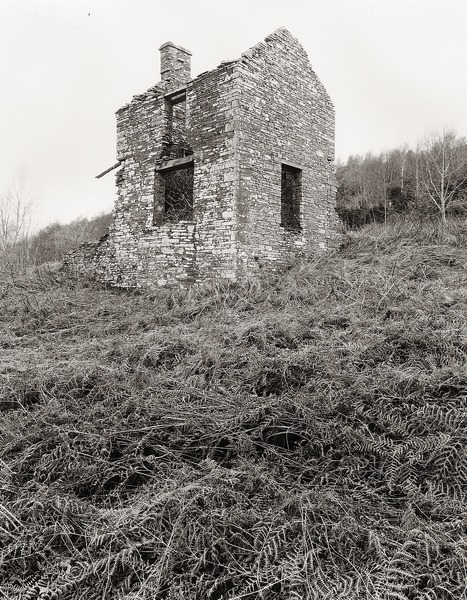 Notes on ALLT HOUSE, Llansantffraed, Brecknock 2012 - BRECKNOCKSHIRE