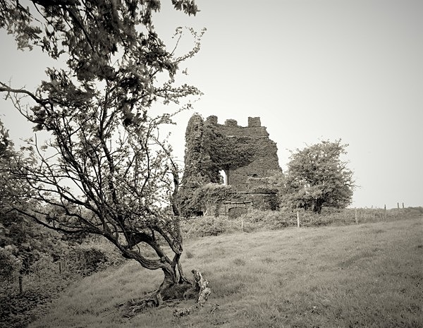 IVY TOWER, Gnoll Estate, Neath Port Talbot 2019 - THE GLAMORGANS (Including Neath Port Talbot, Gower, Vale of Glamorgan)