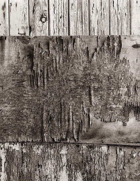 CUB HUTS, Devil's Bridge, Ceredigion 2015 - ABSTRACTIONS