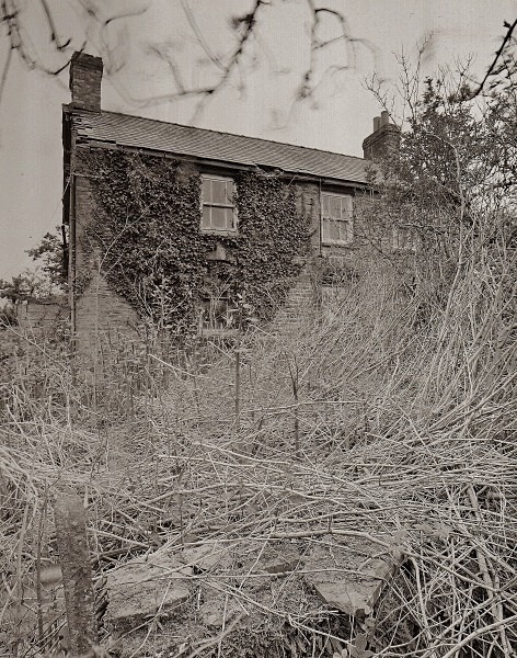 PEN-BRYN-RHYG, Stags Head, Ceredigion 2013 - CEREDIGION FARMS & COTTAGES