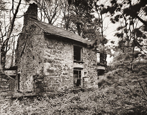 PANT-Y-RHEW-FACH, Dihewyd, Ceredigion 2015 - CEREDIGION FARMS & COTTAGES
