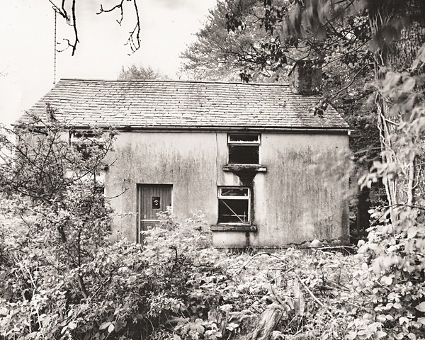 LLANIO FELIN, Llanio, Ceredigion 2014 - CEREDIGION FARMS & COTTAGES