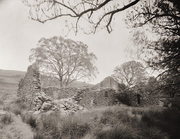 PEN-CWM, Rhos-gelli-gron common, Pontrhydyfendigaid, Ceredigion 20 - CEREDIGION FARMS & COTTAGES