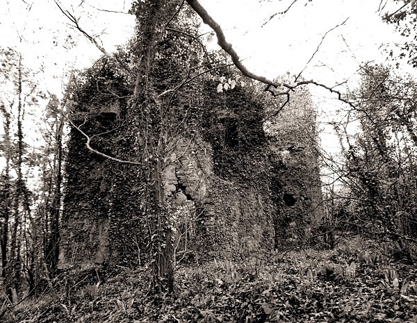 GREEN CASTLE (CASTELL MOEL), Llangain, Carmarthenshire 2014 - CARMARTHENSHIRE