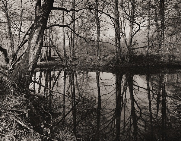 AFON RHEIDOL RIVER, Ceredigion 2015 - THE WELSH LANDSCAPE - MOSTLY IN CEREDIGION