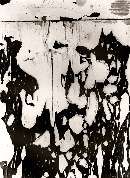 PEELING PAINT, Brighton, East Sussex 2008 - ABSTRACTIONS