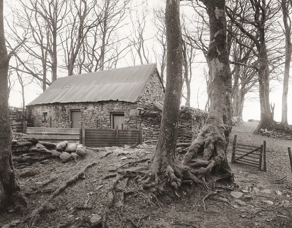 CRUG at WAUN MAENLLWYD, Llanddewi Brefi, Ceredigion 2012 - CEREDIGION FARMS & COTTAGES