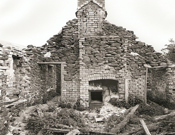 LLUEST ABERCEITHON, Elan Valley, Radnorshire 2010 - RADNORSHIRE (farmhouses)