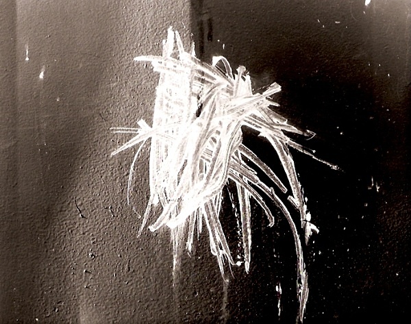 WALL, Borth, Ceredigion 2001 - ABSTRACTIONS