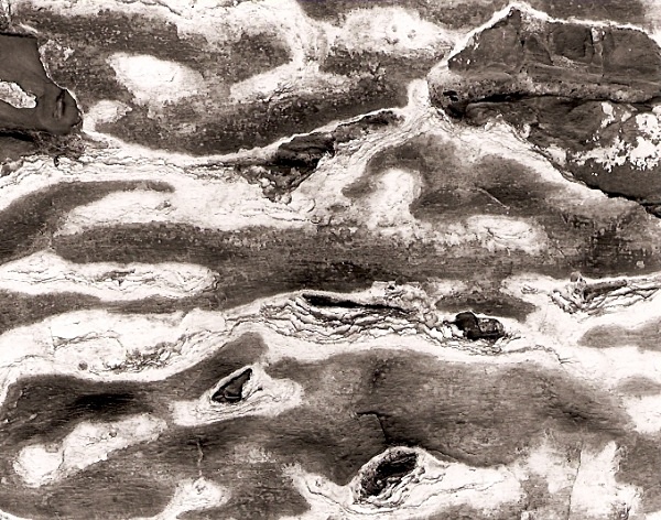 WALL ON HOUSE, Aberystwyth, Ceredigion 2001 - ABSTRACTIONS