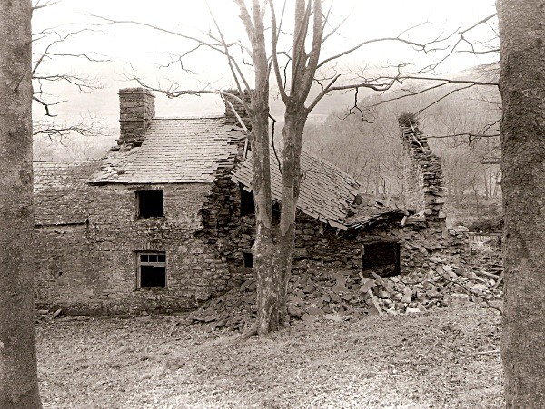 BLAEN Y CWM, Cwmystwyth, Ceredigion 2003 - CEREDIGION FARMS & COTTAGES