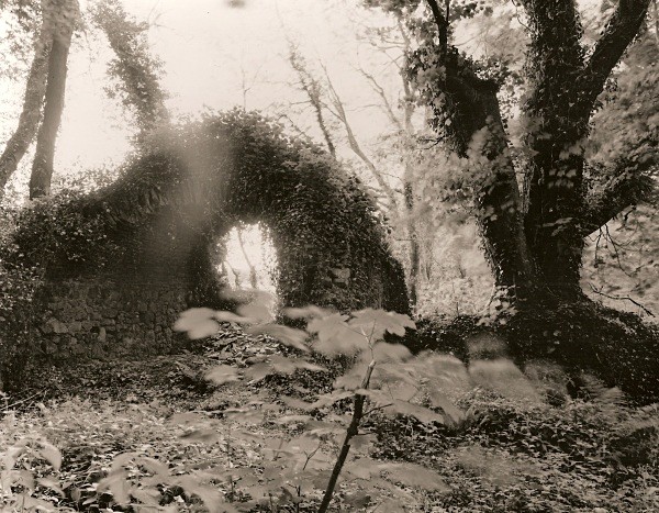 THE SYSTERNE HOUSE/SISTER'S HOUSE, Minwear, Pembrokeshire 2011