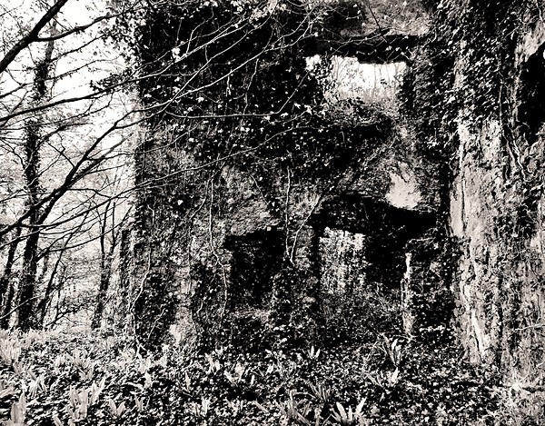 GREEN CASTLE (CASTELL MOEL), Llangain, Carmarthenshire 2014 - CARMARTHENSHIRE