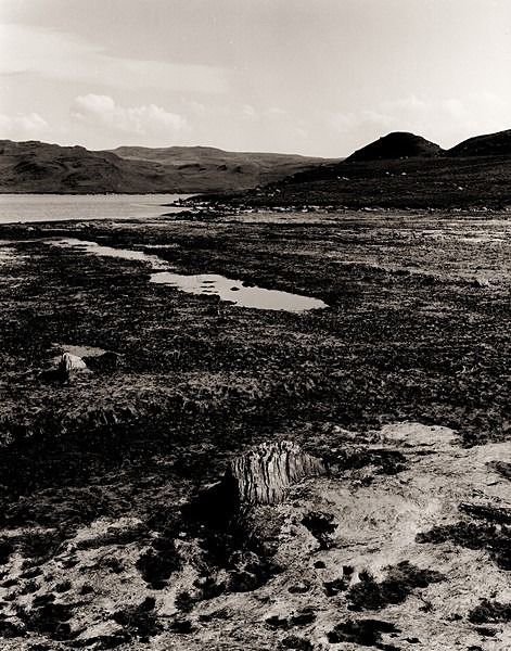 TEIFI POOLS, Ceredigion 1996 - THE WELSH LANDSCAPE - MOSTLY IN CEREDIGION