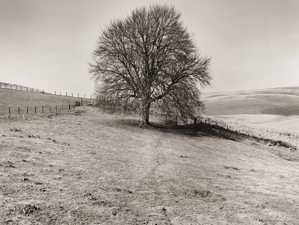 LLUEST ABERCEITHON, Elan Valley, Radnorshire 2015 - RADNORSHIRE