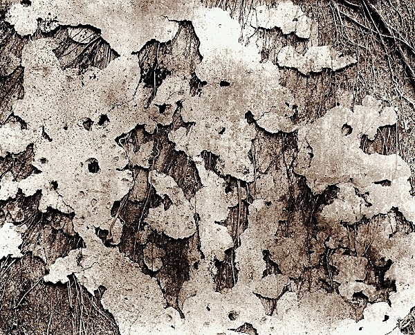 BARON HILL MANSION, Anglesey 2008 - ABSTRACTIONS