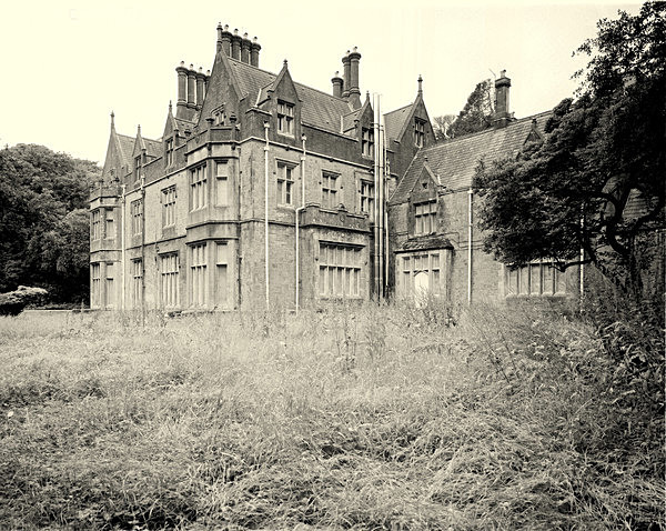 HENDREFIOLAN HOUSE, Swansea 2017 - THE GLAMORGANS