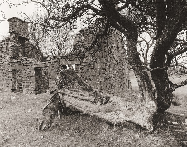 UNKNOWN, Llangwyryfon, Ceredigion 2012 - CEREDIGION FARMS & COTTAGES