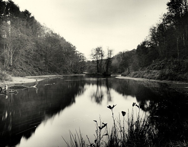 LAKE at PENLLERGAER MANSION GARDENS, Swansea 2016 - THE GLAMORGANS