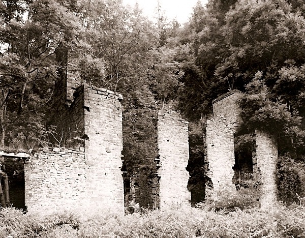 THE HERMITAGE, Grwyne Valley, nr Abergavenny, Brecknockshire 2004
