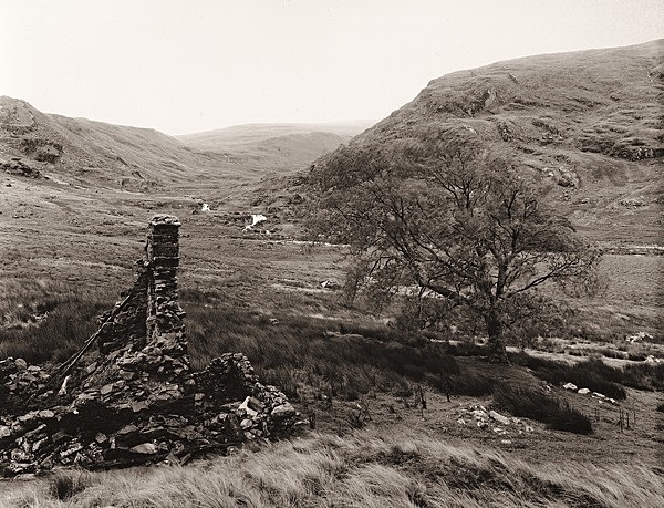 NEUADD FACH, Nant-y-Moch, Ceredigon 2011 - CEREDIGION FARMS & COTTAGES