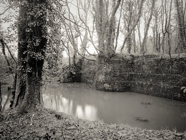 PENLLERGAER MANSION GROUNDS, Swansea 2018 - THE GLAMORGANS
