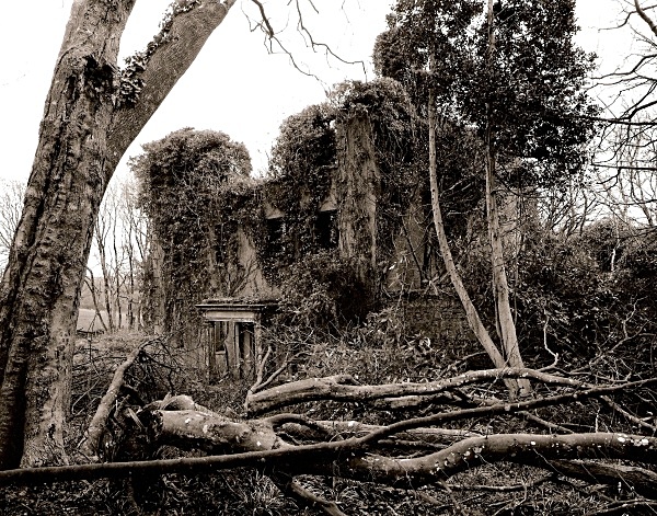 LLANSTINAN HOUSE, LLANSTINAN, PEMBROKESHIRE 2009